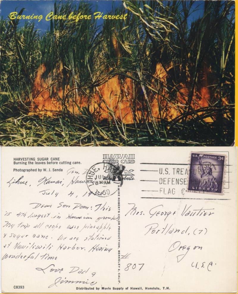 Harvesting sugarcane. From George Vautier in Hawaii to Dominic Vautier in Portland. July 6, 1959.