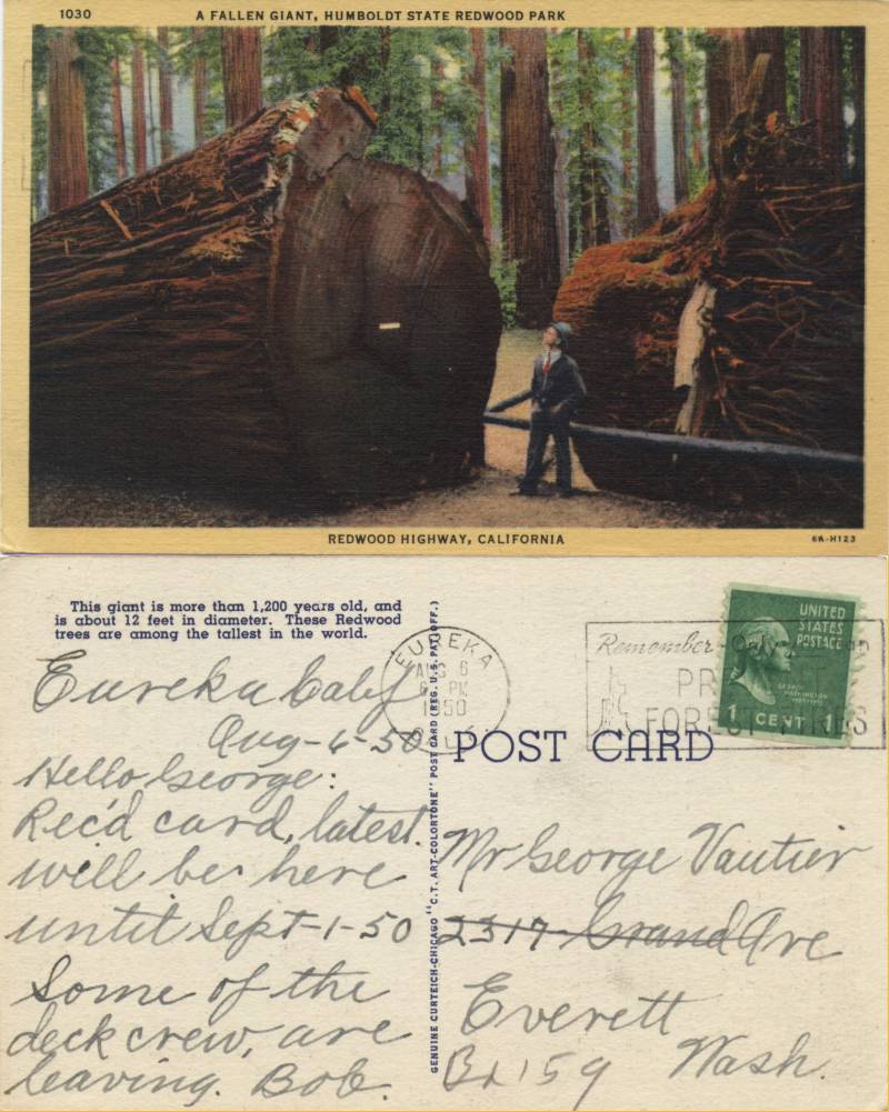A Fallen Giant, Humbolt Redwood State Park - From Bob in Eureka, CA to George Vautier in Everett, WA (2317 Grand/PO Box 159) Posted Aug 6, 1950.
