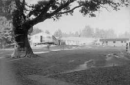 Salesian Junior Seminary camp at bonnie doone 1959